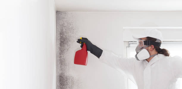 Best Residential Mold Remediation in Oologah, OK